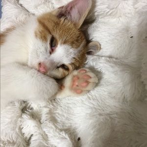 Meet your Posher, Mary